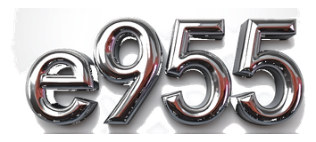 e955 logo